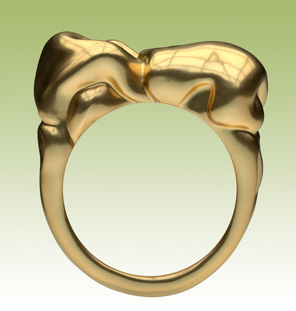 Ring Tissue 3D print model_10