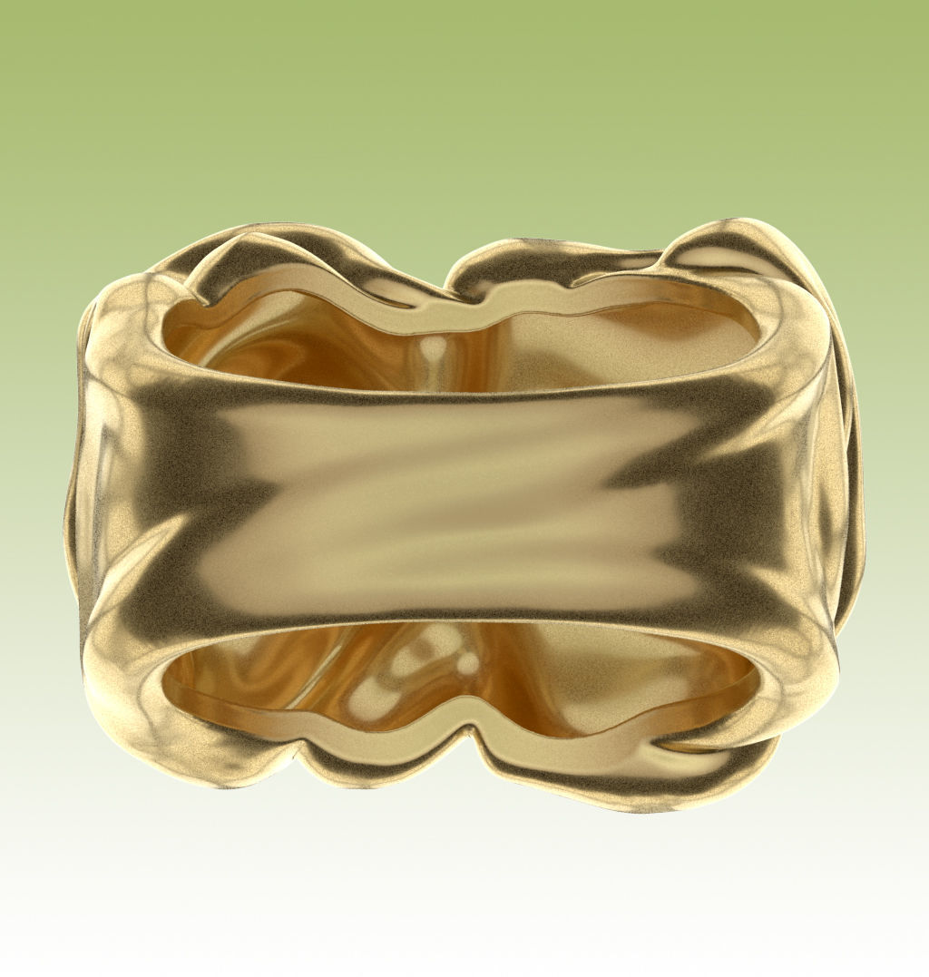 Ring Tissue 3D print model_14