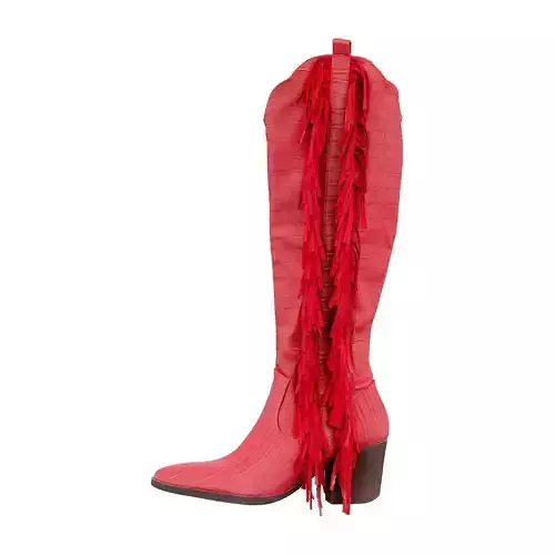 Cowboy Snake Boots 3D model