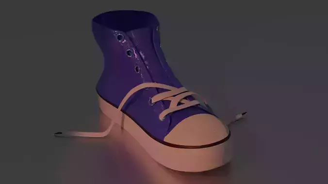 single shoe with laces