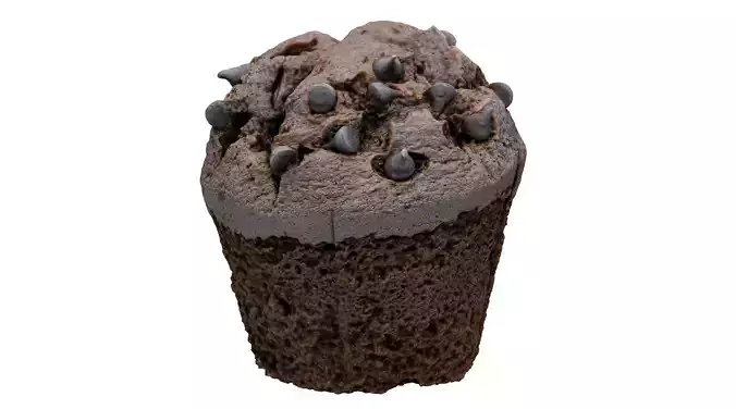 Chocolate Muffin Scan