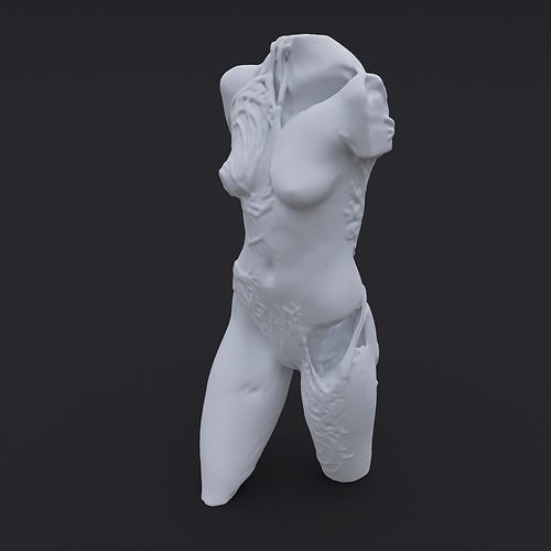 Carved Body 3D model