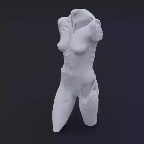 Carved Body 3D model