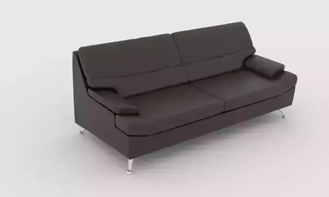 The Couch leather sofa