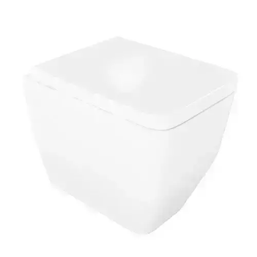 Square White Toilet Bowl