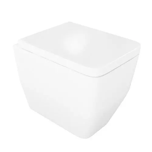 Square White Toilet Bowl 3D model