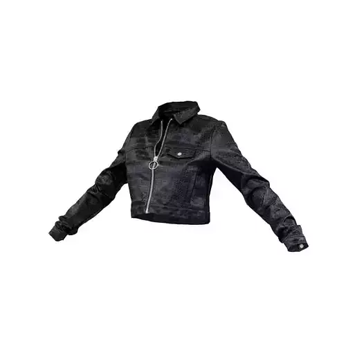 Crocodile Vinyl Jacket 3D model