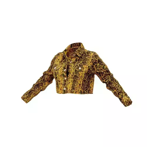 Crocodile Jacket 3D model