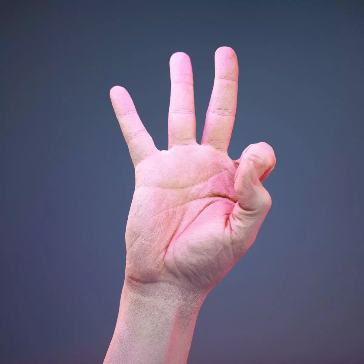 Finger Number 9 Low-poly 3D model