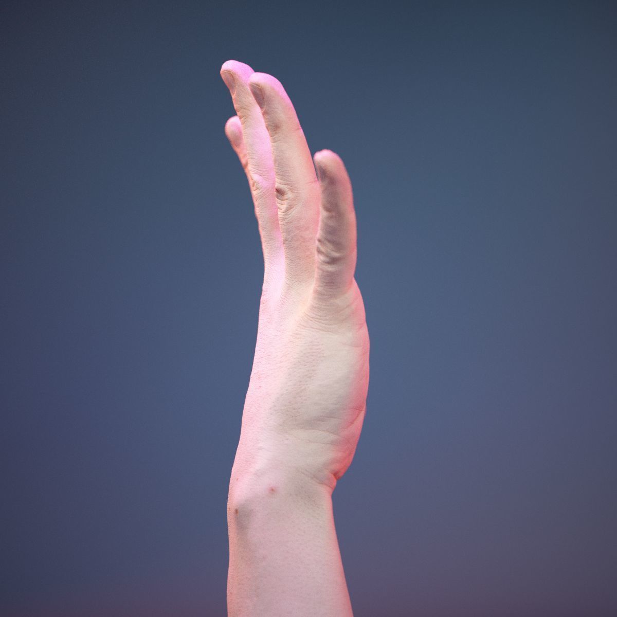 Finger Number 5 Low-poly 3D model_3