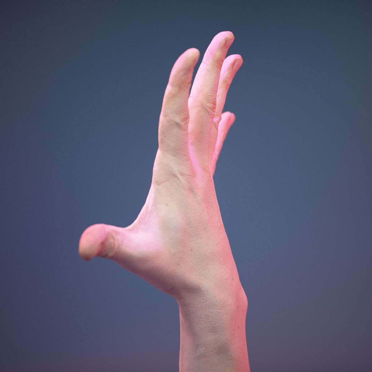 Finger Number 5 Low-poly 3D model_8