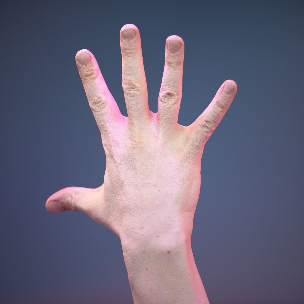 Finger Number 5 Low-poly 3D model_5