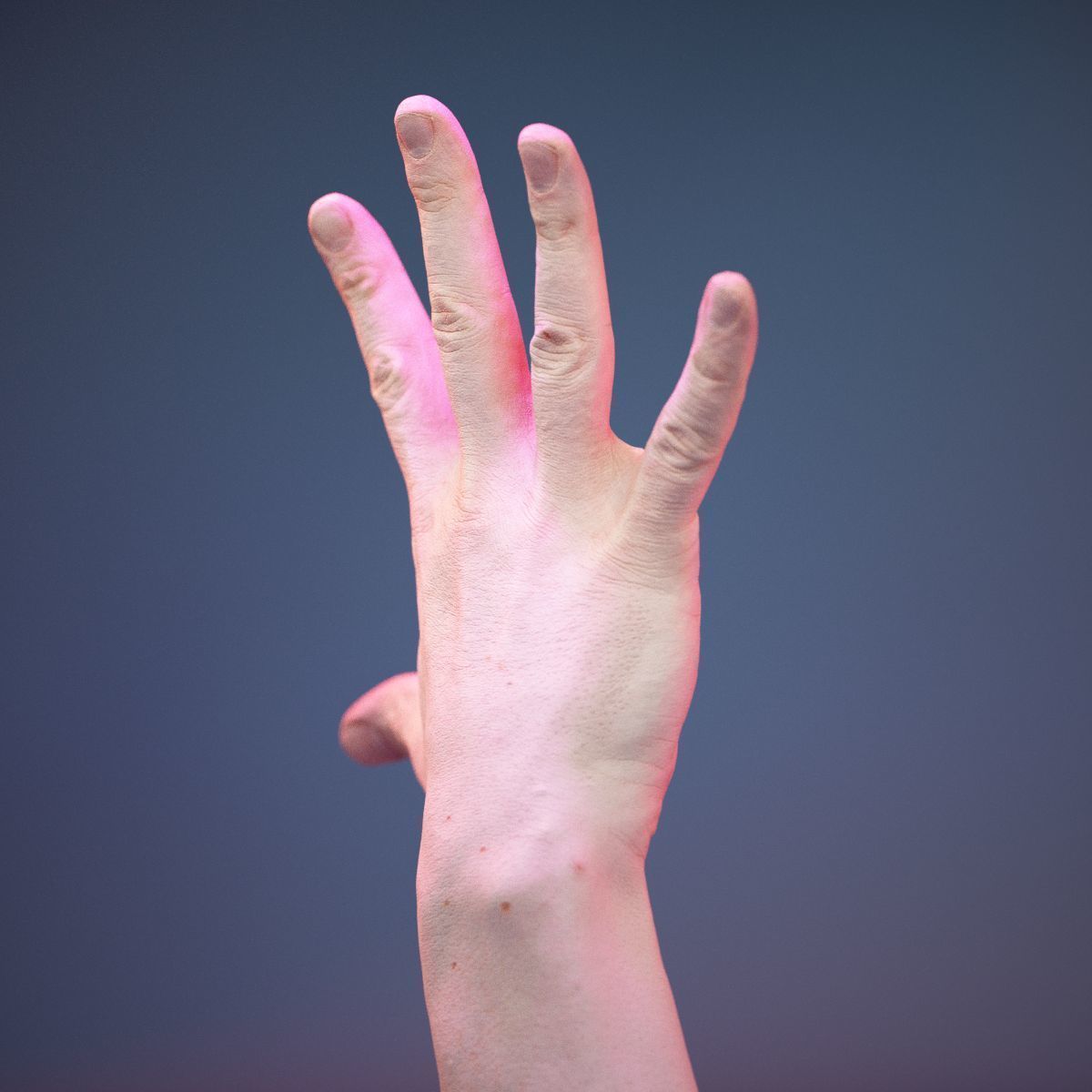 Finger Number 5 Low-poly 3D model_4