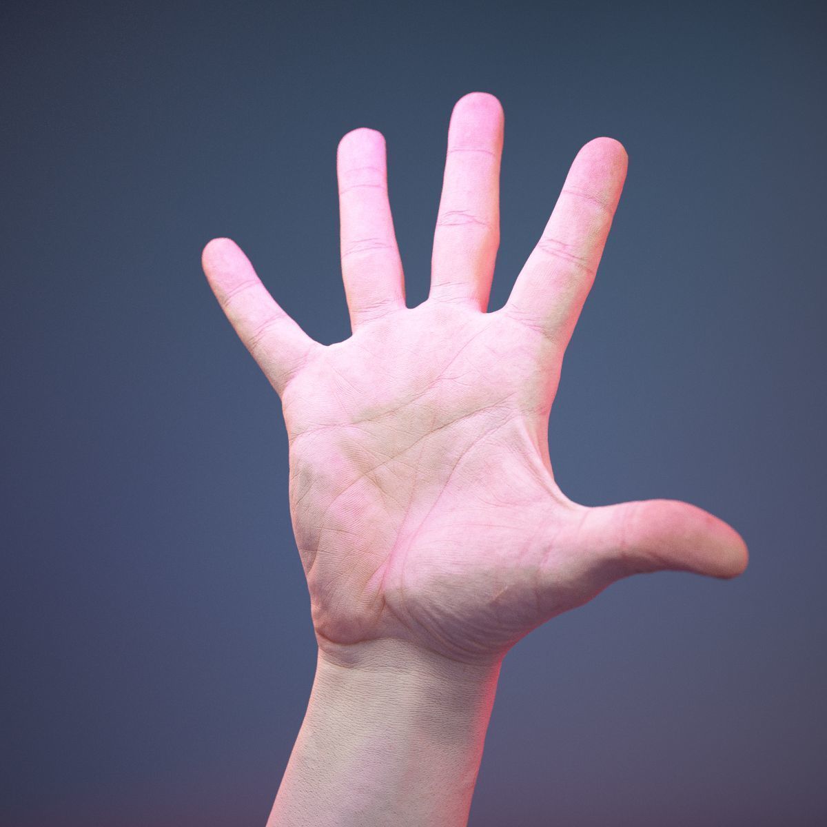 Finger Number 5 Low-poly 3D model_11