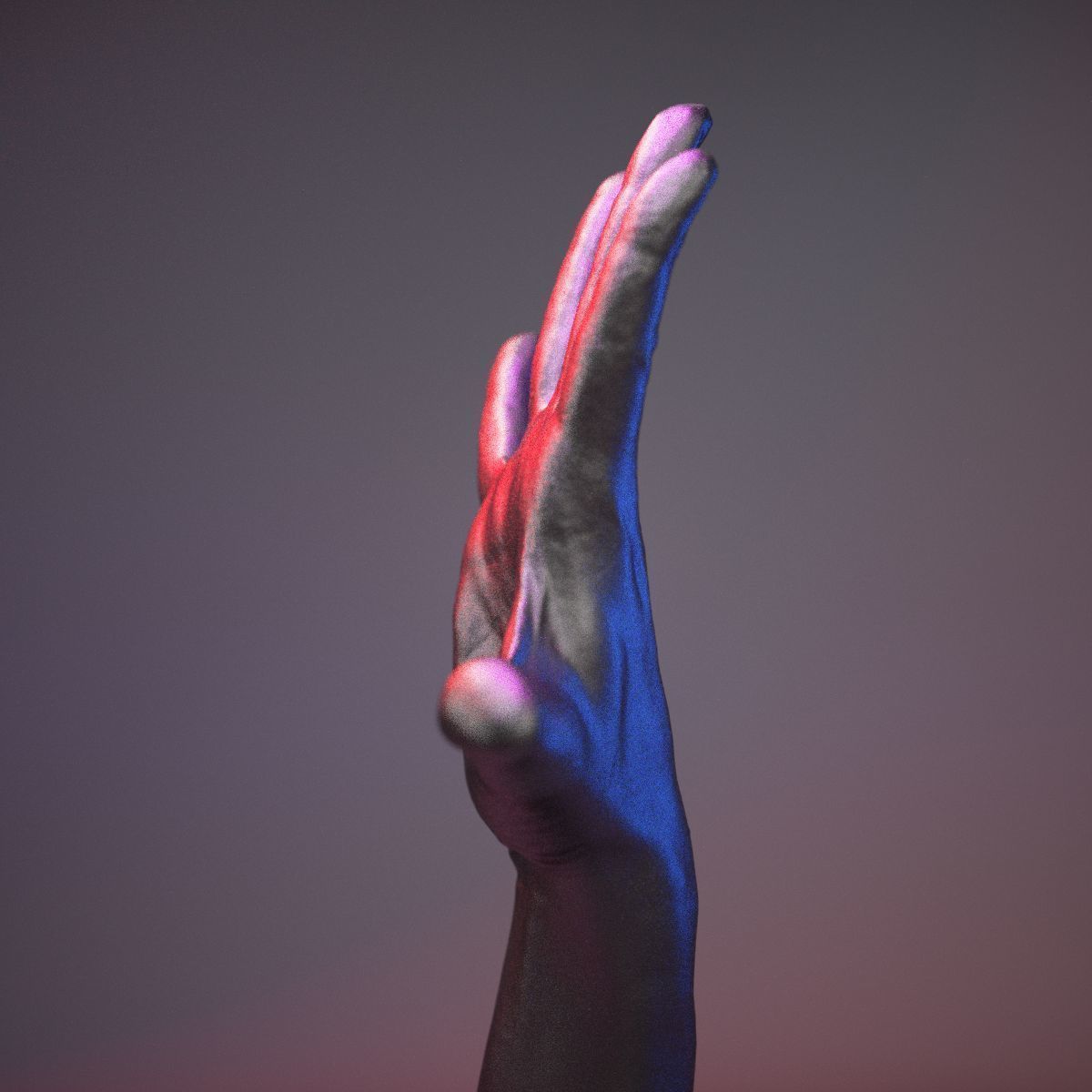 Finger Number 5 Low-poly 3D model_18