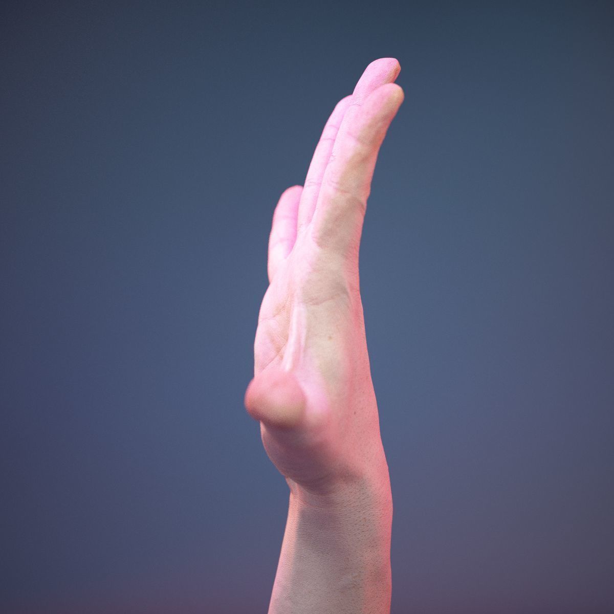 Finger Number 5 Low-poly 3D model_9