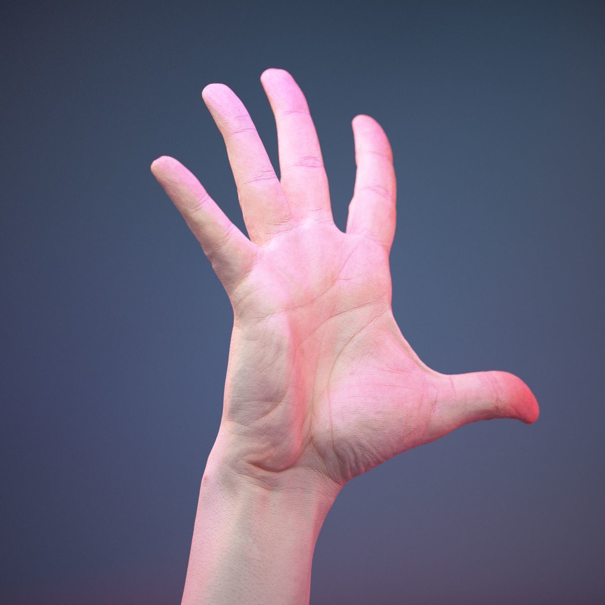 Finger Number 5 Low-poly 3D model_1