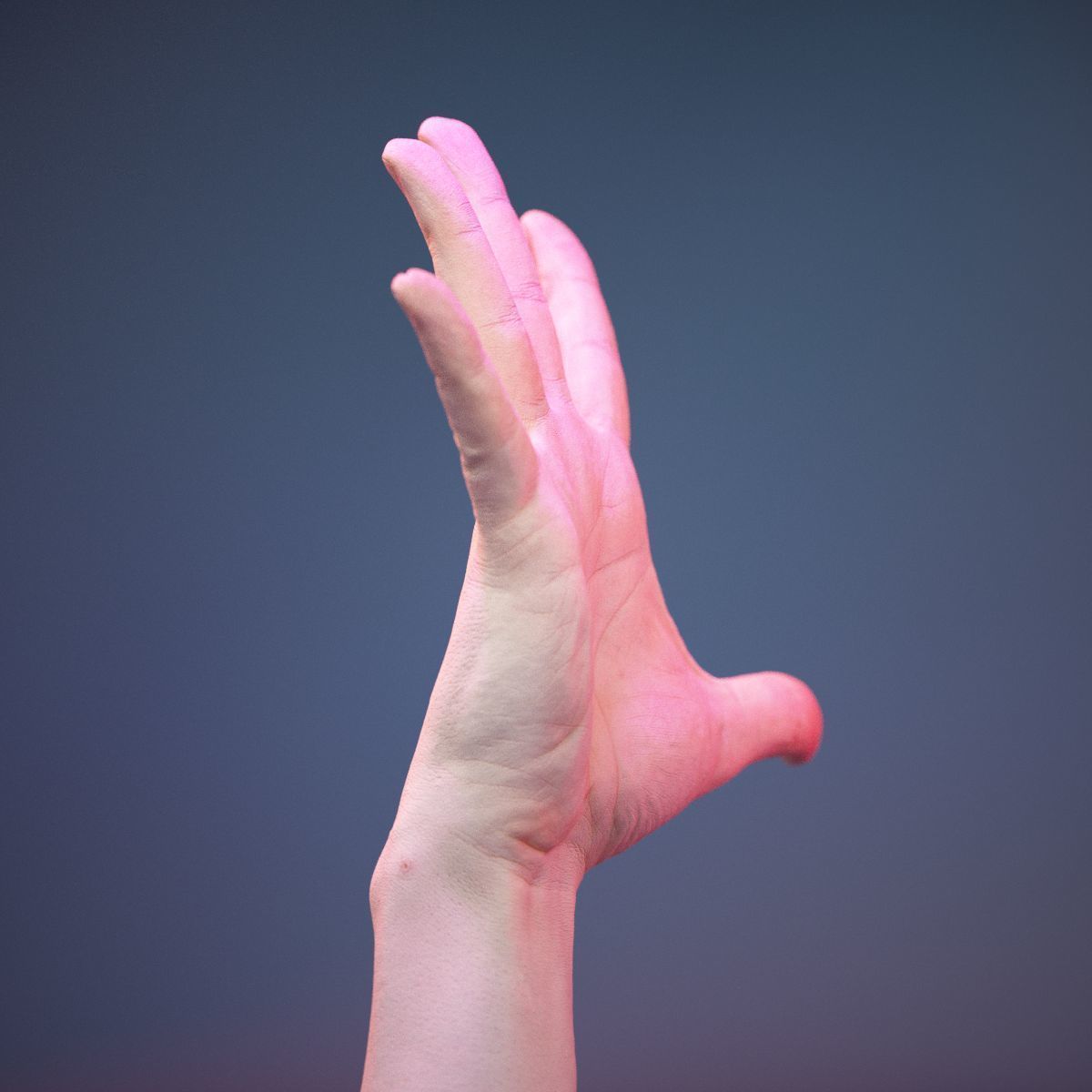 Finger Number 5 Low-poly 3D model_2