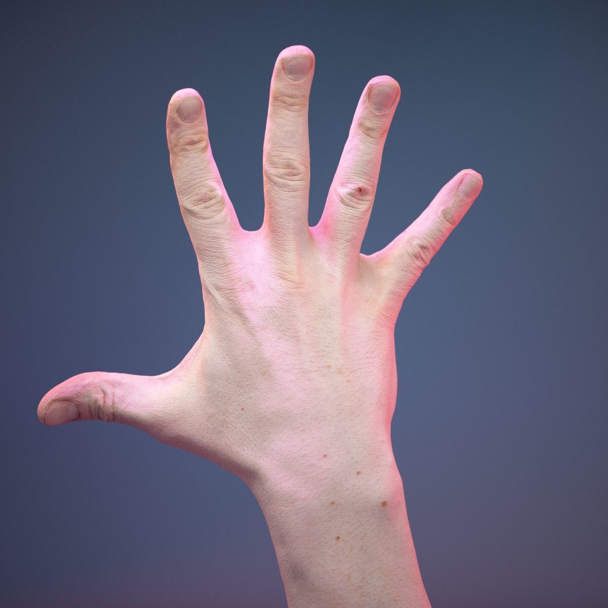 Finger Number 5 Low-poly 3D model_6