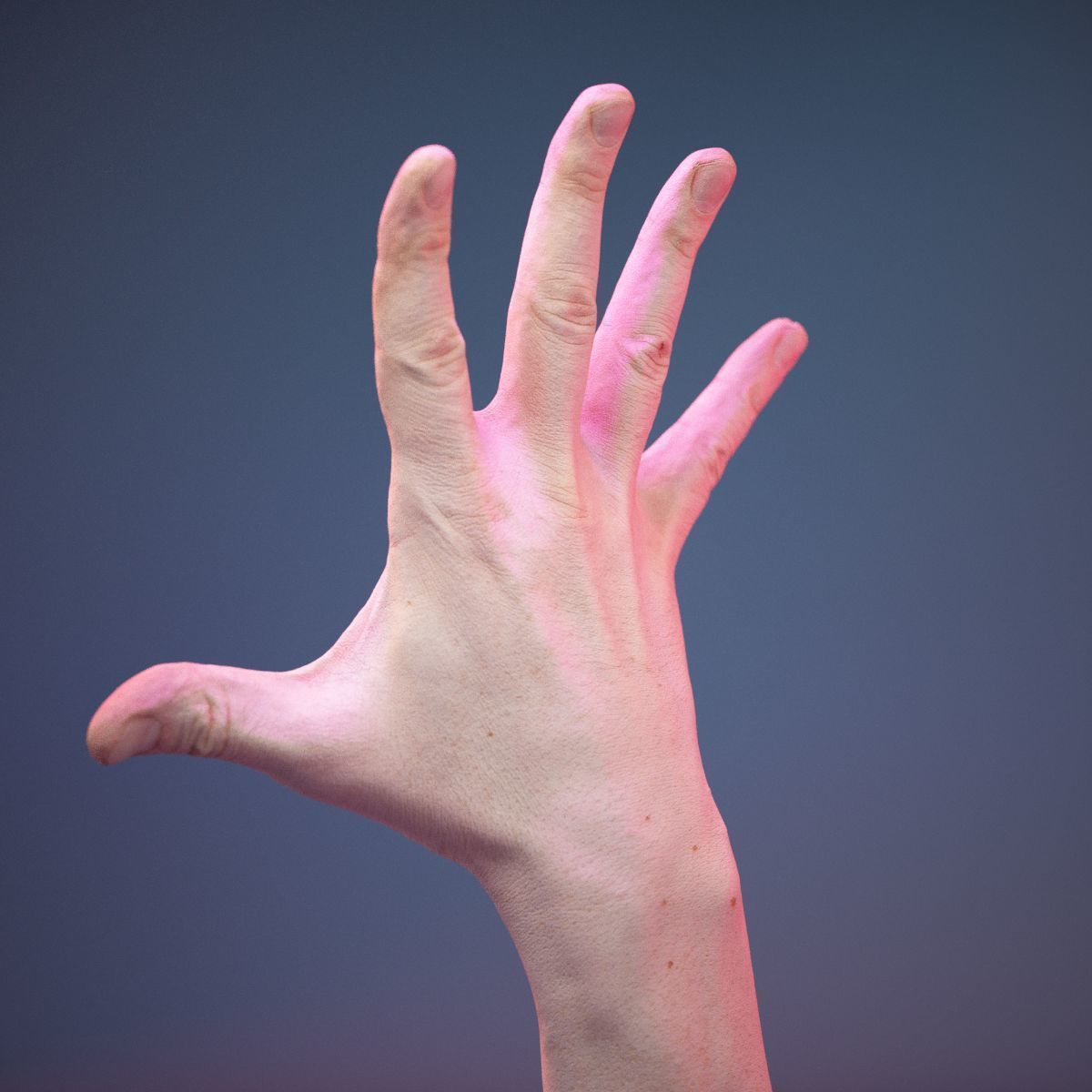 Finger Number 5 Low-poly 3D model_7