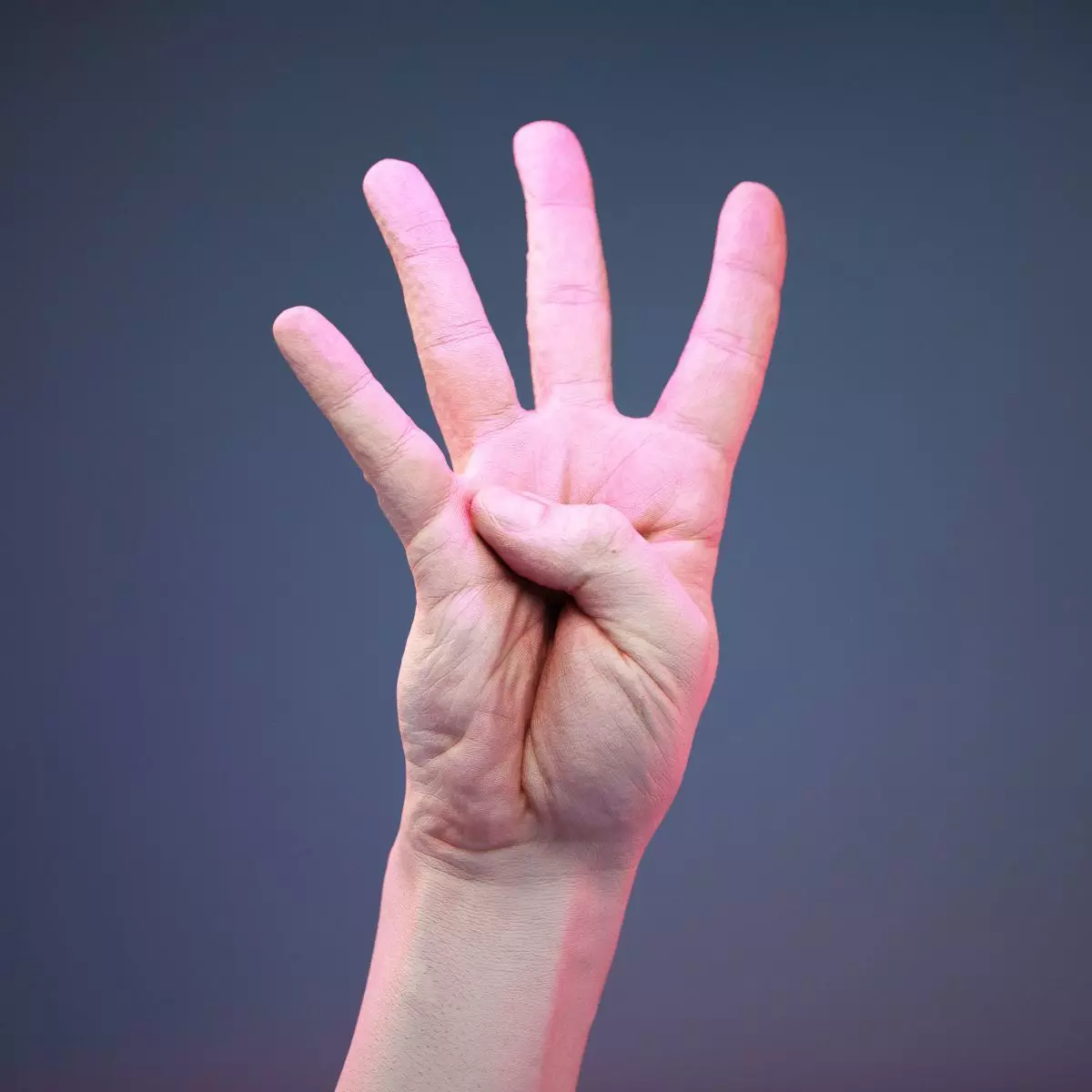 Finger Number 4 Low-poly 3D model