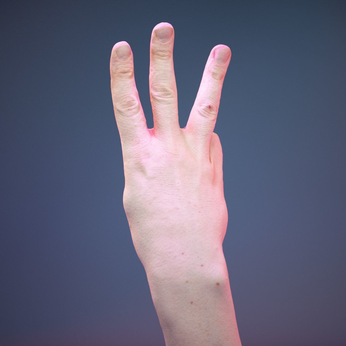 Finger Alphabet W Low-poly 3D model_6