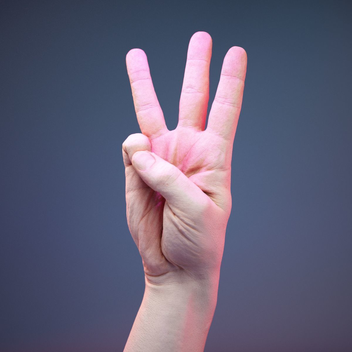 Finger Alphabet W Low-poly 3D model_11