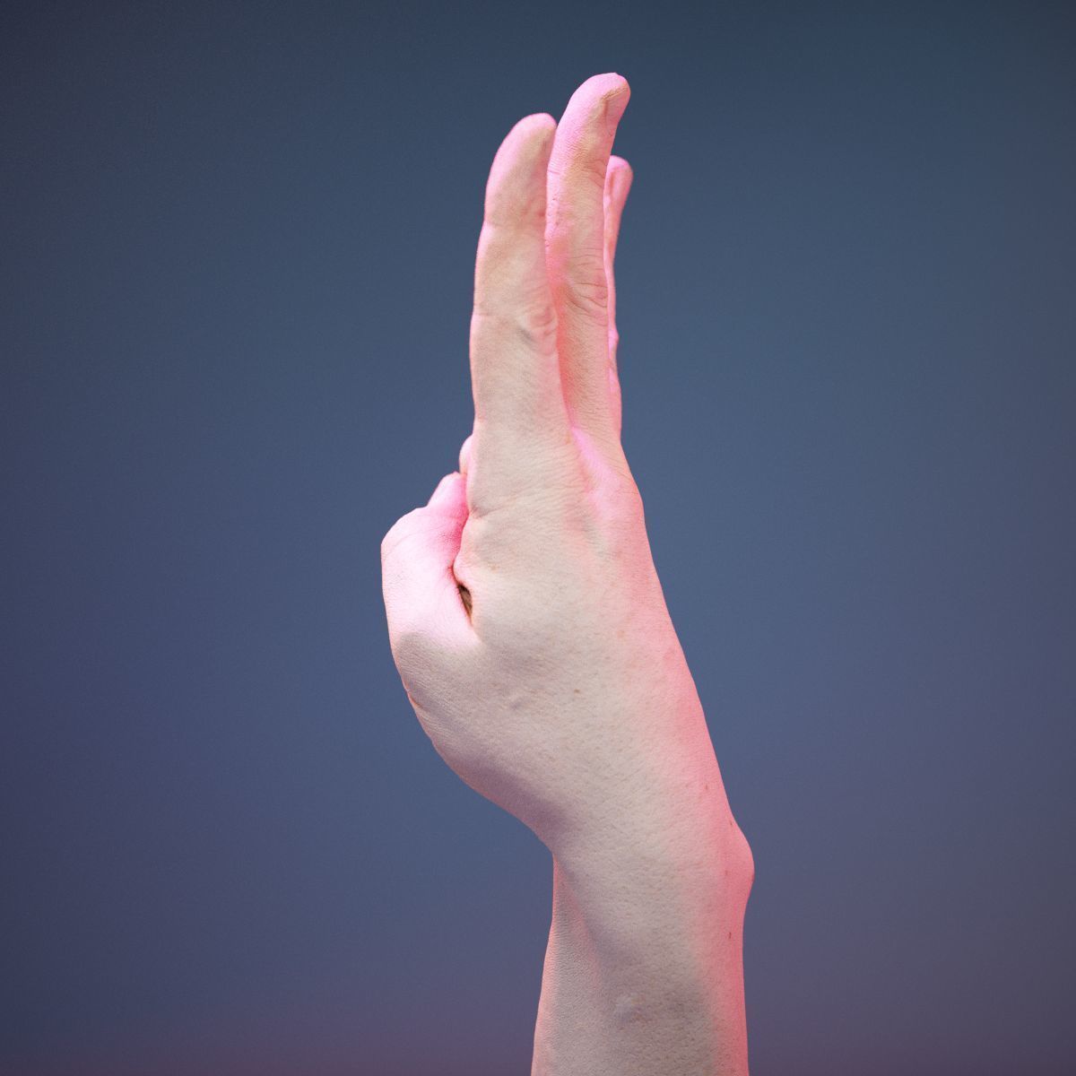 Finger Alphabet W Low-poly 3D model_8