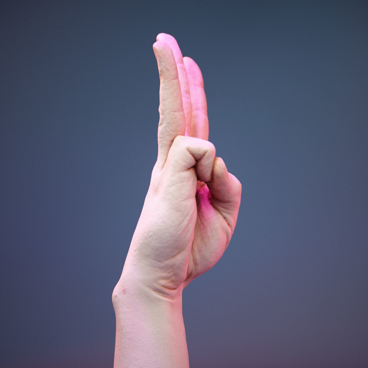Finger Alphabet W Low-poly 3D model_2
