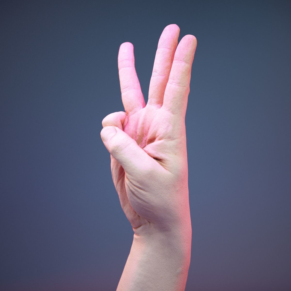 Finger Alphabet W Low-poly 3D model_10