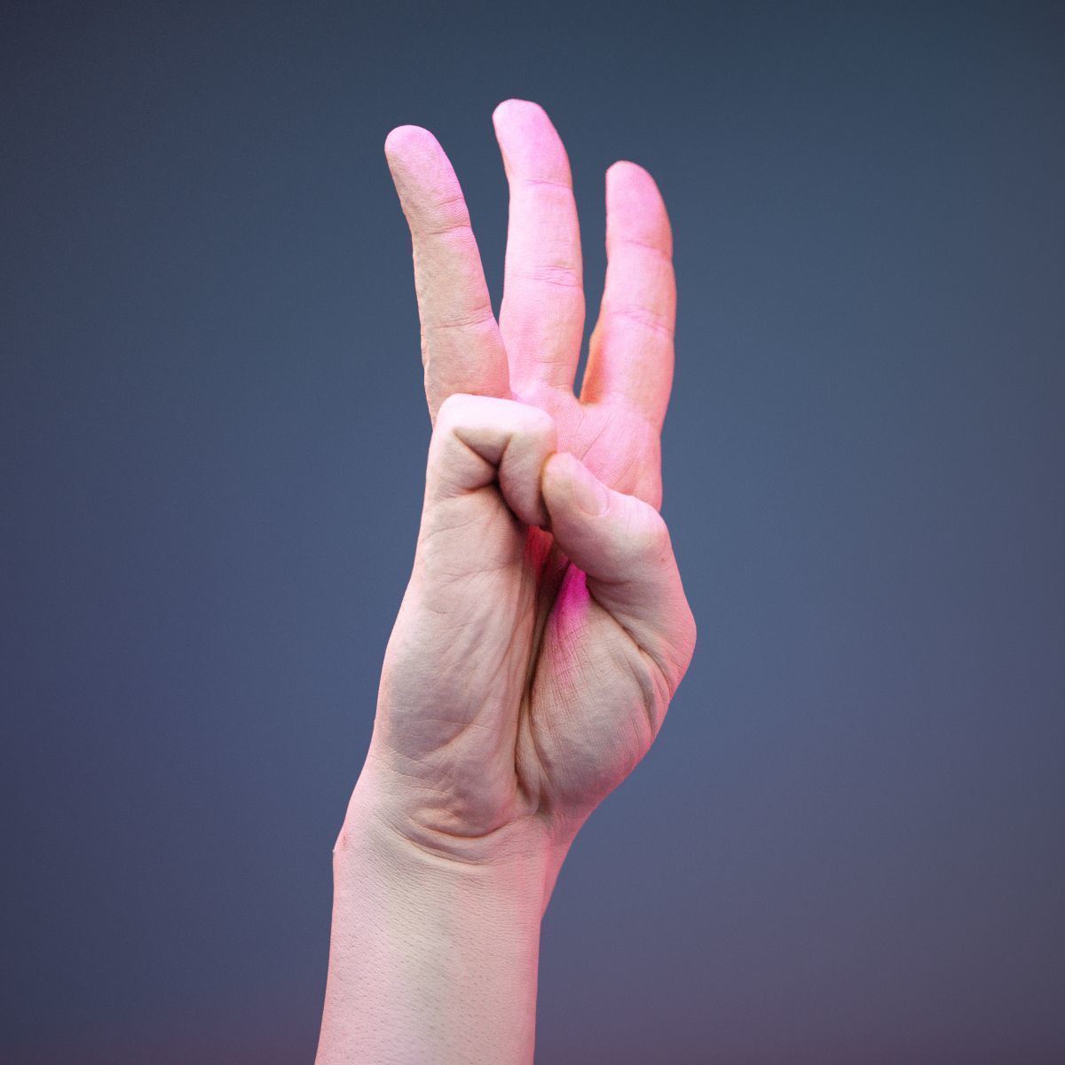 Finger Alphabet W Low-poly 3D model_1