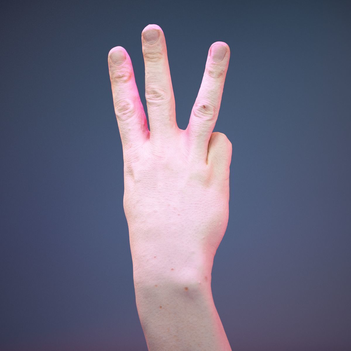 Finger Alphabet W Low-poly 3D model_5
