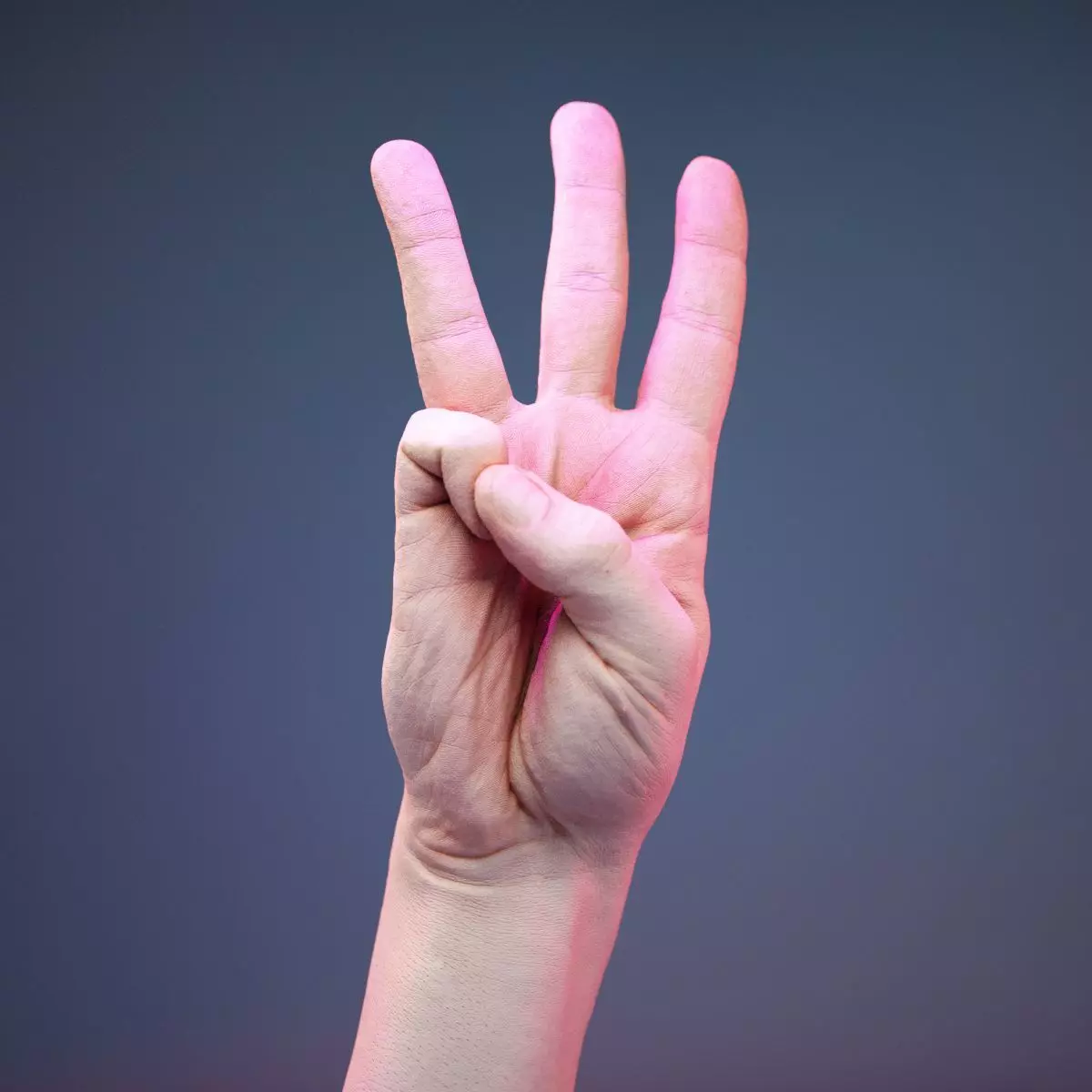 Finger Alphabet W Low-poly 3D model_0