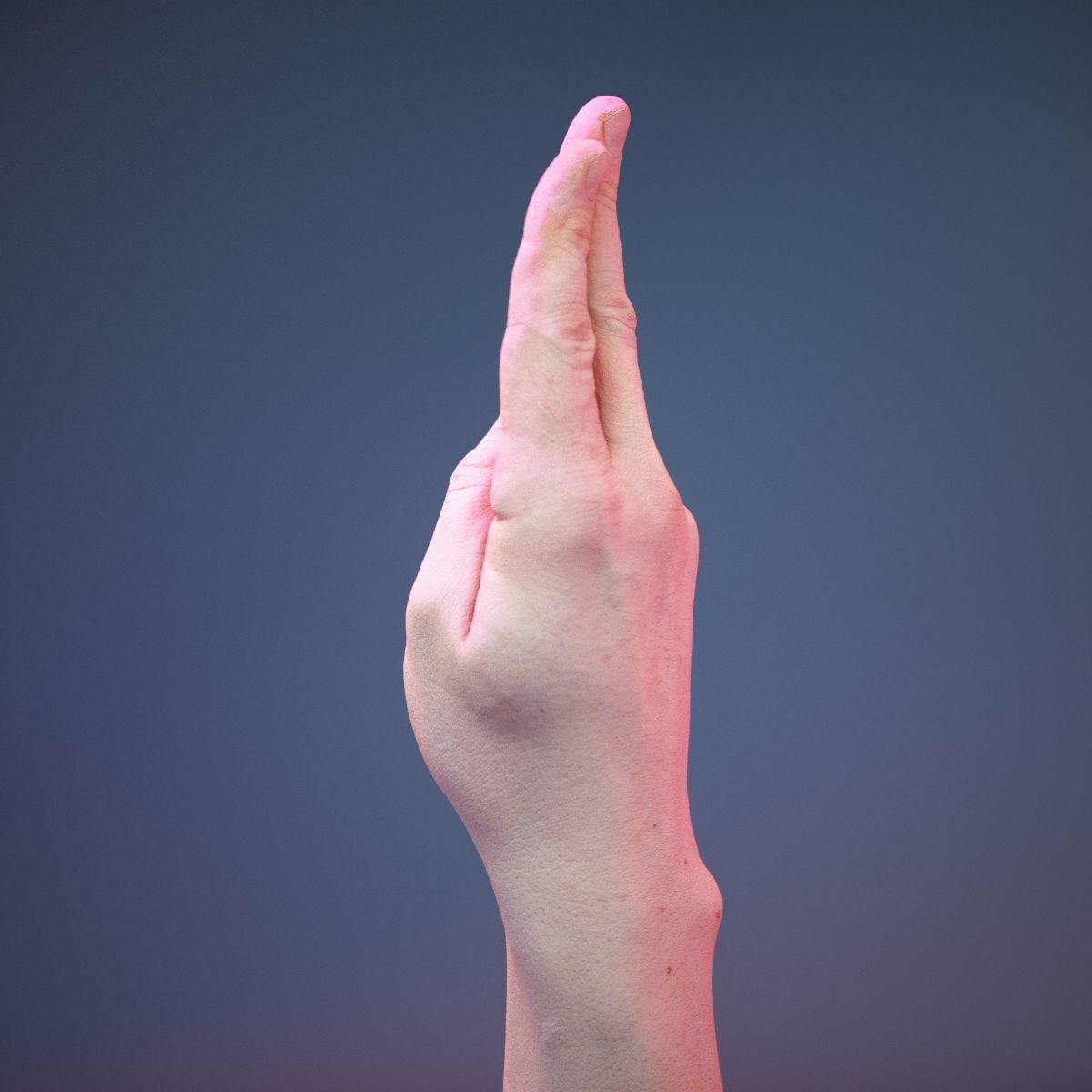 Finger Alphabet U Low-poly 3D model_8