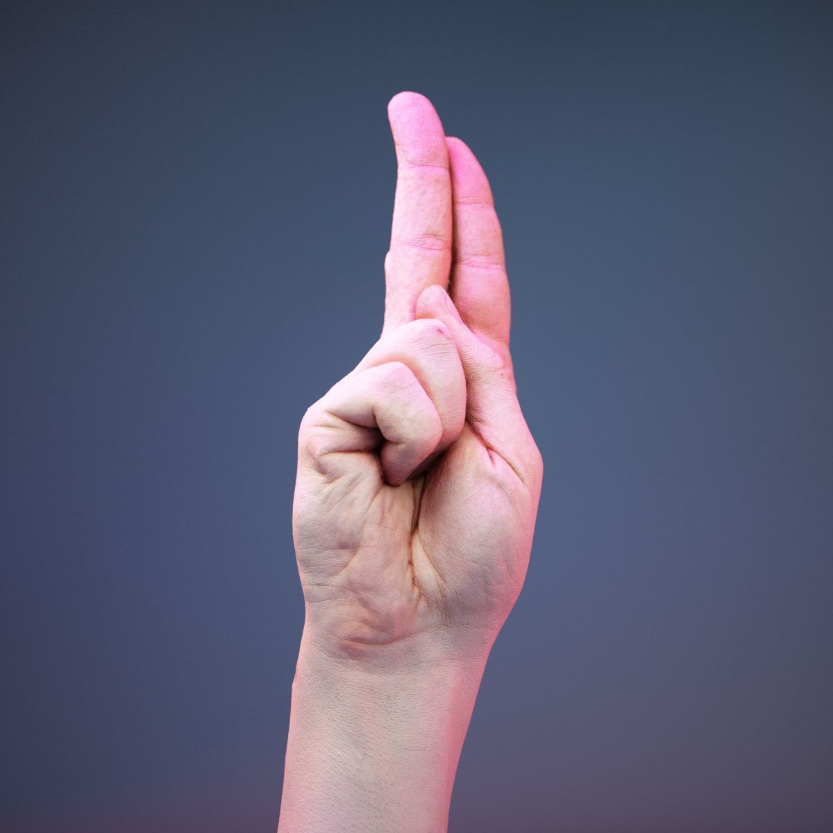 Finger Alphabet U Low-poly 3D model_1