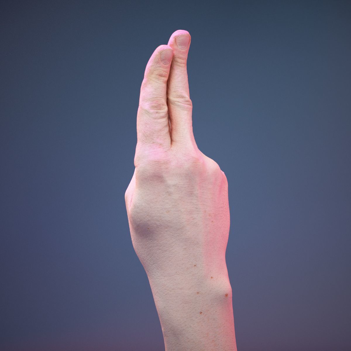 Finger Alphabet U Low-poly 3D model_7
