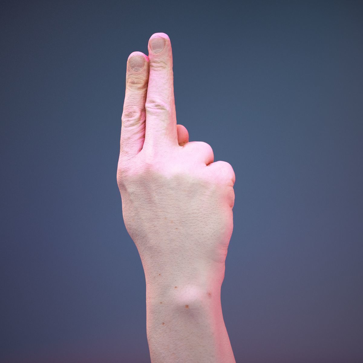 Finger Alphabet U Low-poly 3D model_5