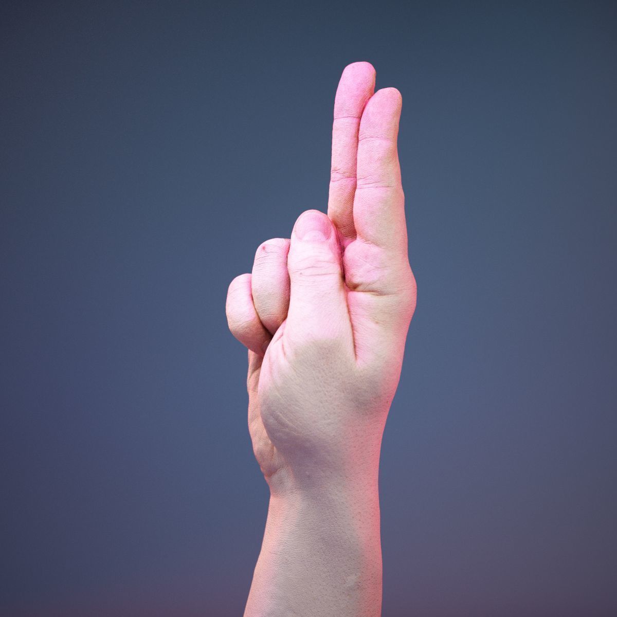 Finger Alphabet U Low-poly 3D model_10