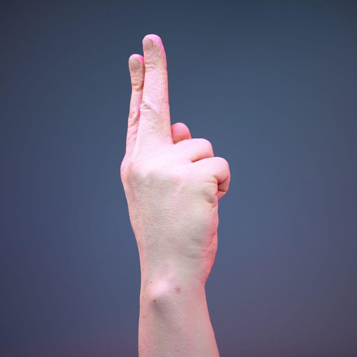 Finger Alphabet U Low-poly 3D model_4