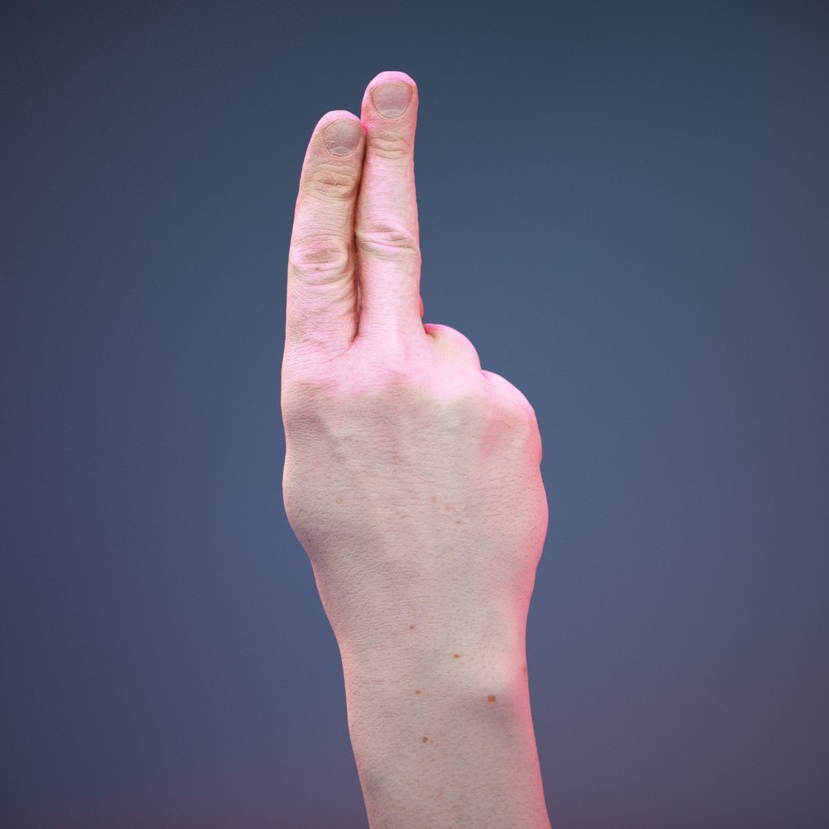 Finger Alphabet U Low-poly 3D model_6