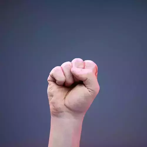Finger Alphabet S Low-poly 3D model