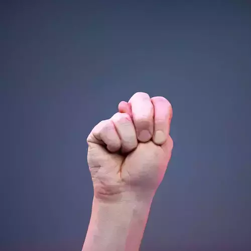 Finger Alphabet N Low-poly 3D model