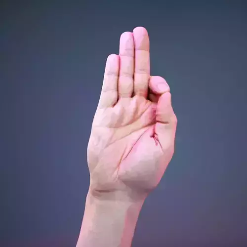 Finger Alphabet F Low-poly 3D model
