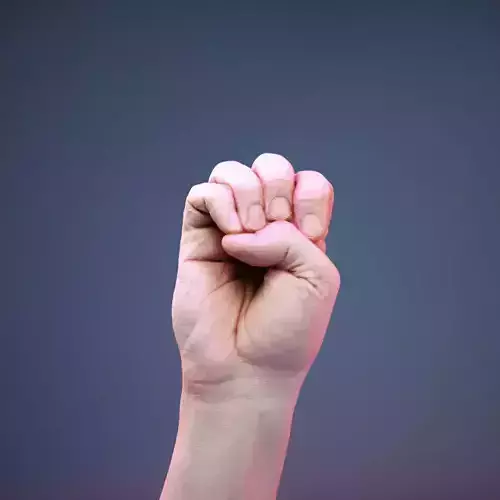 Finger Alphabet E Low-poly 3D model