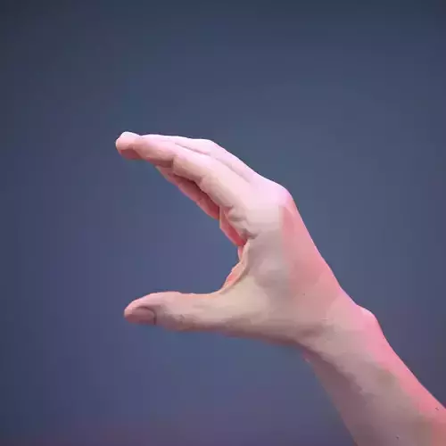 Finger Alphabet C Low-poly 3D model
