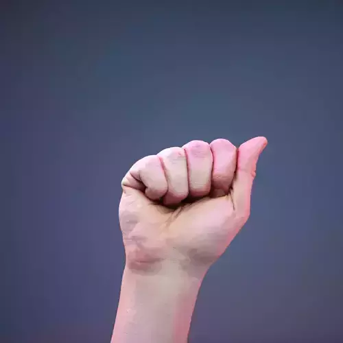 Finger Alphabet A Low-poly 3D model