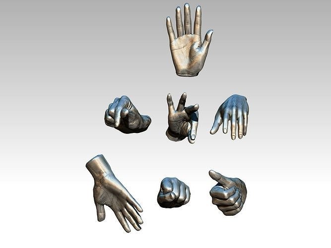 Hands pack lot of 7pcs 3D print model