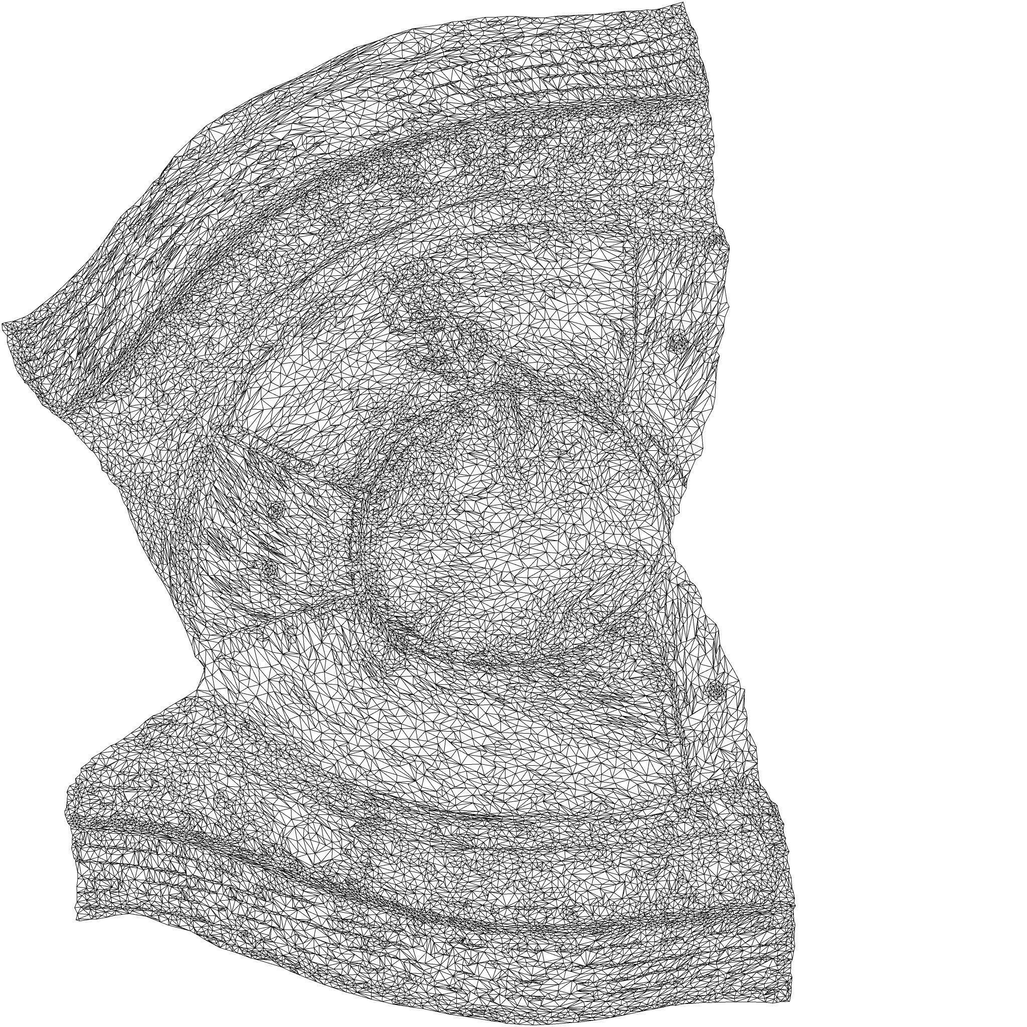 Dollar Hat 3D model_8