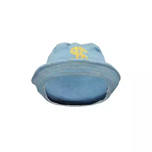 Dollar Hat 3D model