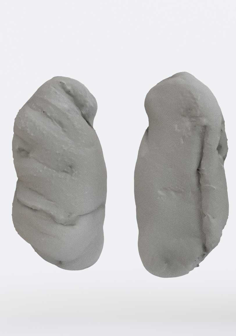 Sesame Bread Photogrammetry 3D model_4